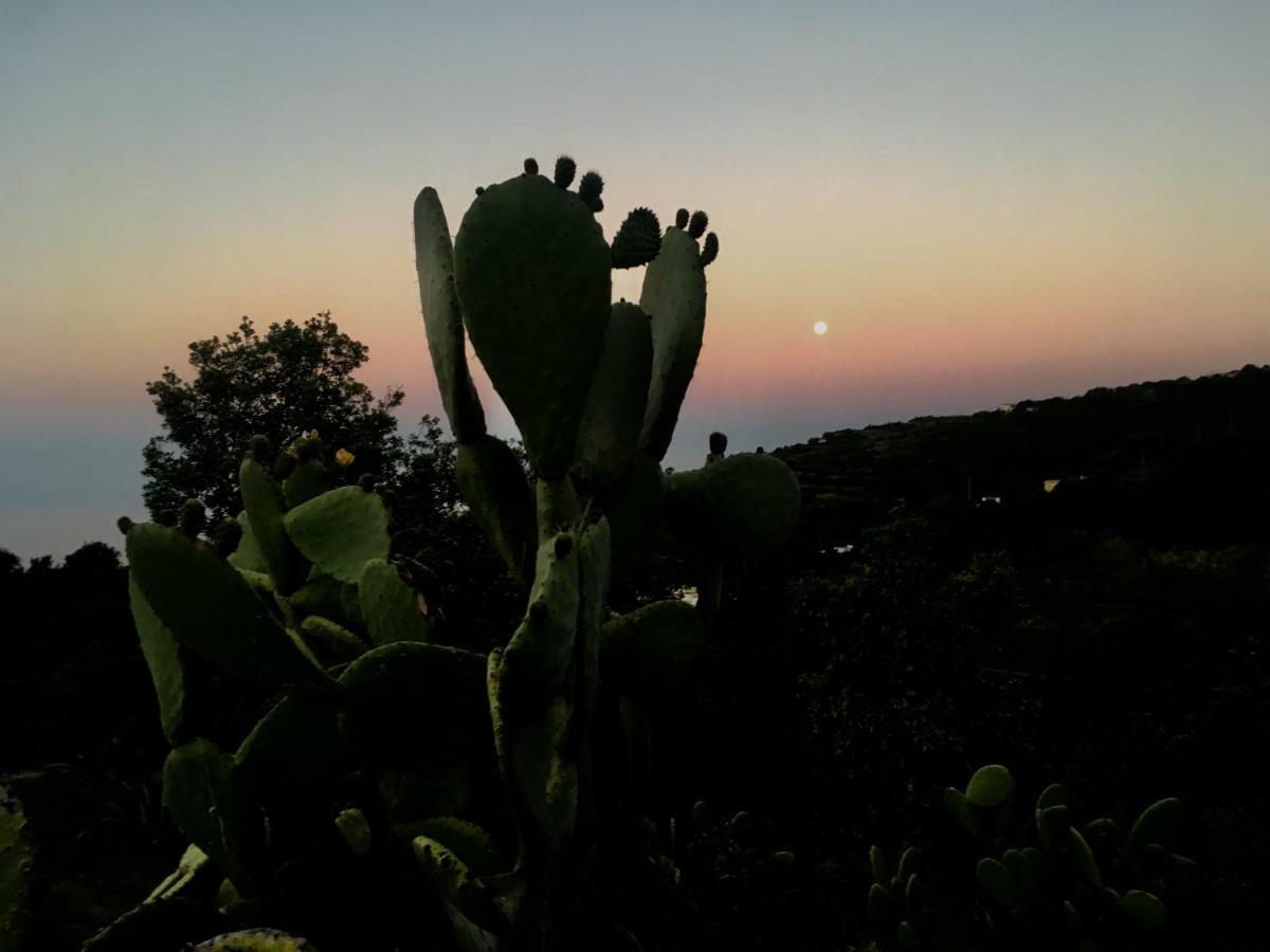 Casa Lomo Cabo Leilighet Puntallana Eksteriør bilde